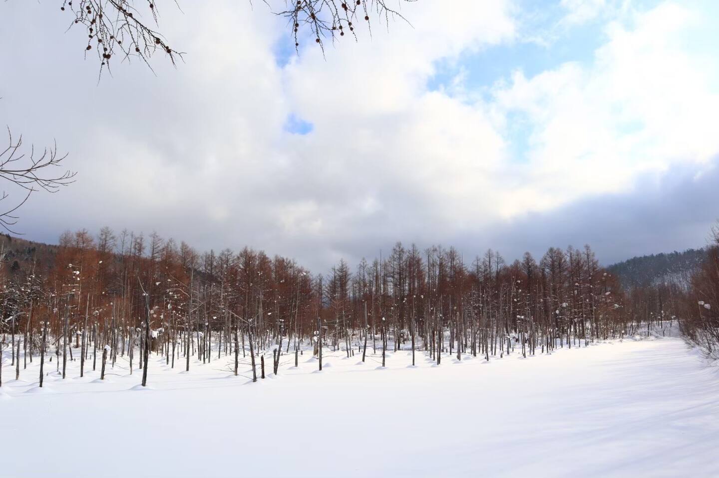 Blue Pond in Winter